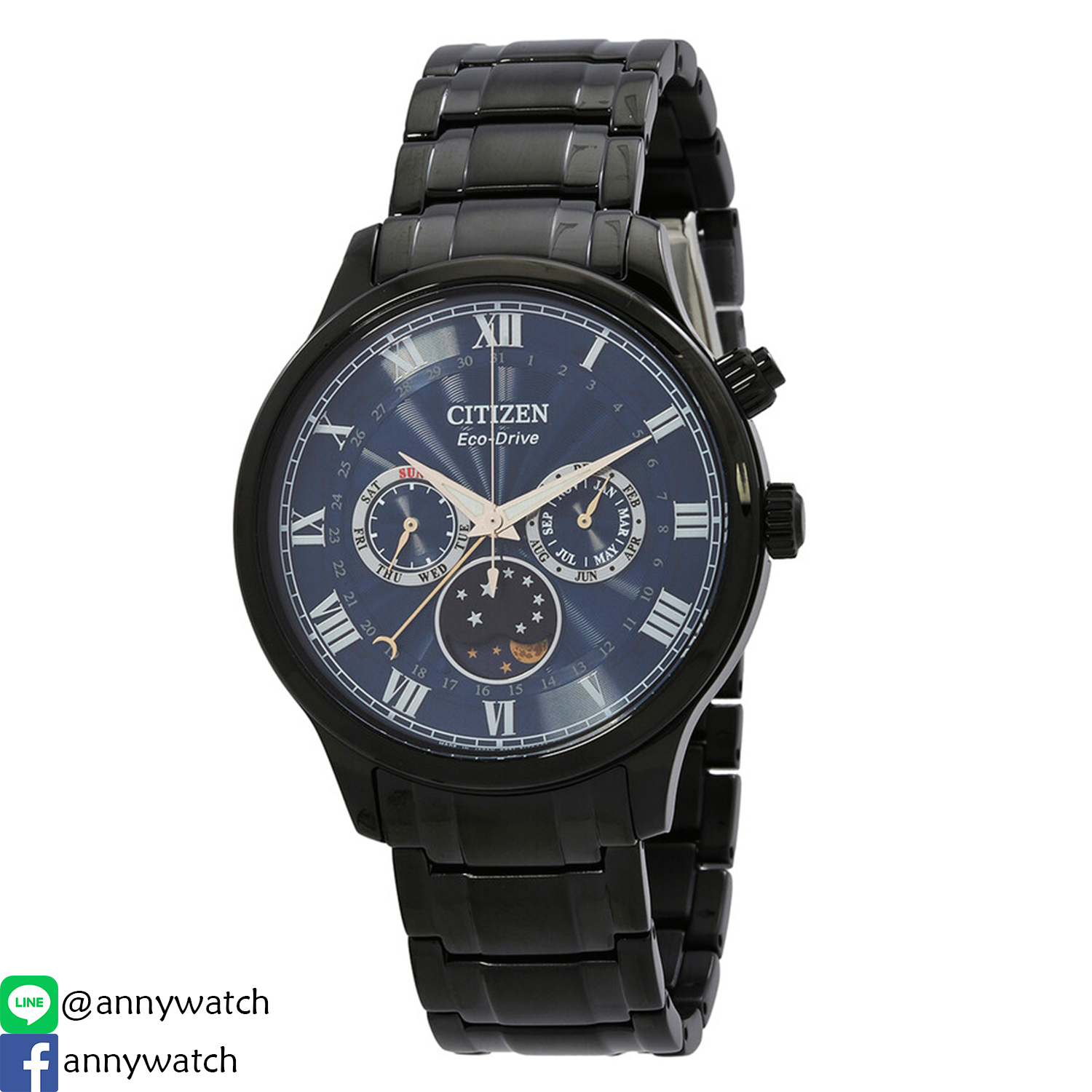 CITIZEN AP1055-87L