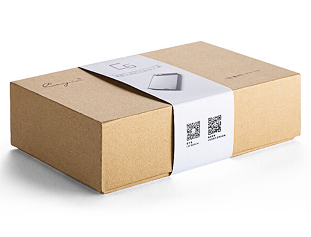 ขาย Cayin Spark C5 แอมป์พกพาพลังขับสูง พร้อมชิ้นส่วนภายในแบบ Top Level Audio Grade