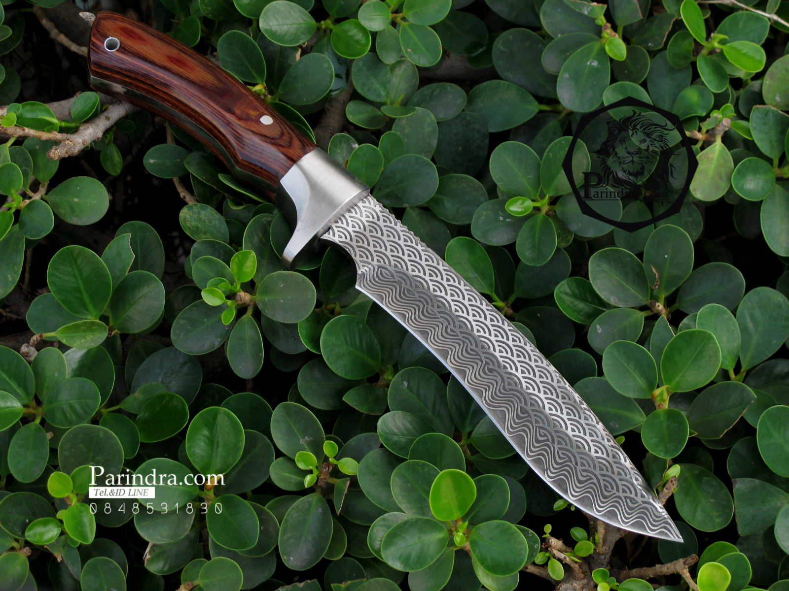 มีดใบตาย Blackfox แบบกัดลายรูปคลื่น Black FOX (Corrosion Pattern)ขนาด 12 นิ้ว