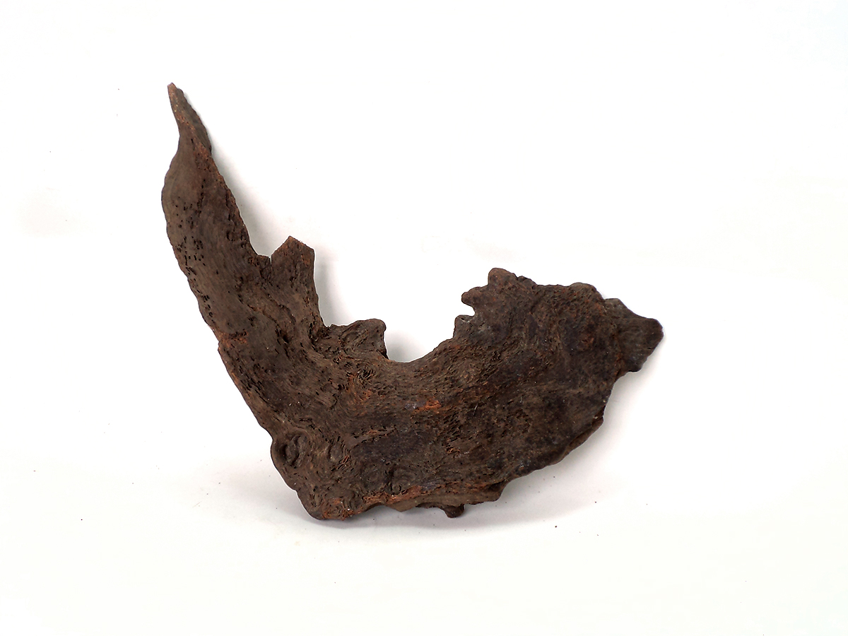 ขอนไม้ตกแต่งตู้ปลาหรือใช้เลี้ยงสัตว์เลื้อยคลาน 026