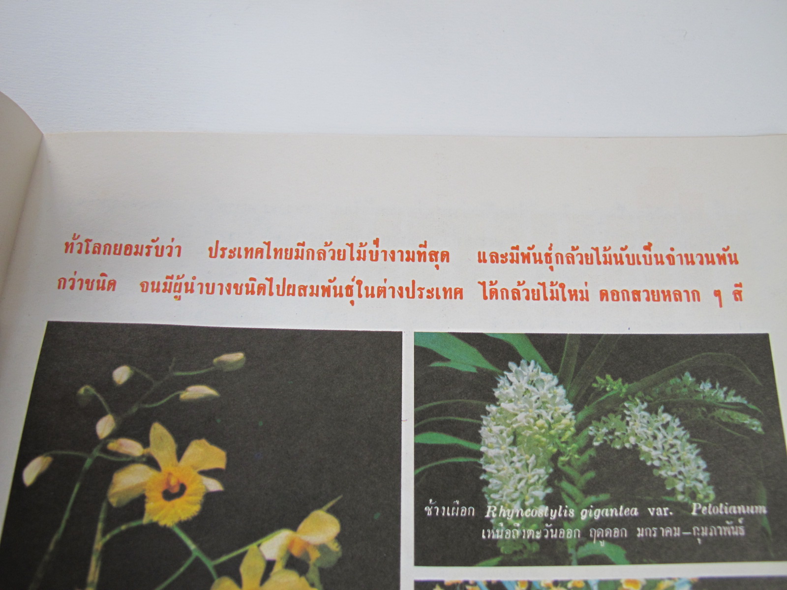 นิตยสาร "เสรีภาพ" ฉบับที่ 109