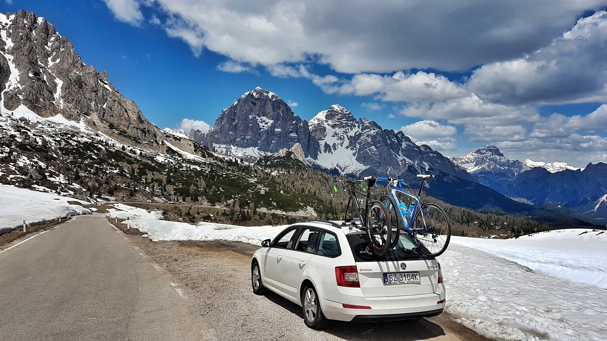 แร็คหลังคาแบบดูด สำหรับบรรทุกจักรยาน แร๊คจักรยาน TreeFrog Bicycle Racks Pro 3, สำหรับจักรยาน 3 คัน, มาตรฐาน CE+TUV