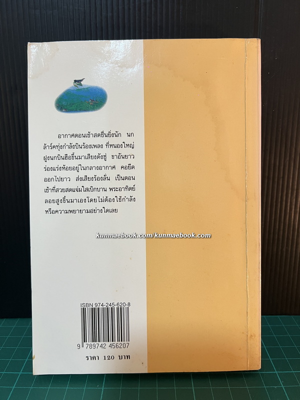 หนังสือชุดบ้านเล็กในป่าใหญ่ (The Little House Books) เล่ม 6 เมืองเล็กในทุ่งกว้าง