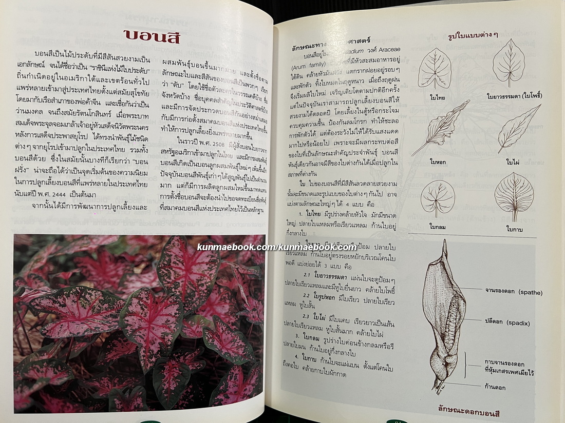 สารานุกรมไม้ประดับในประเทศไทย เล่ม 1-2 ( ปกแข็ง )