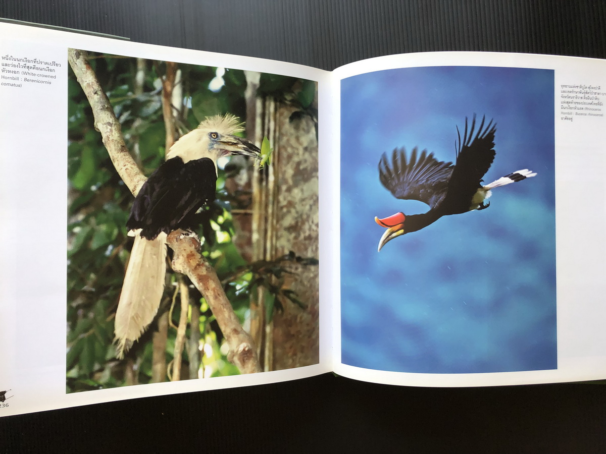 นกและสัตว์ป่าเมืองไทย สายใยแห่งธรรมชาติ