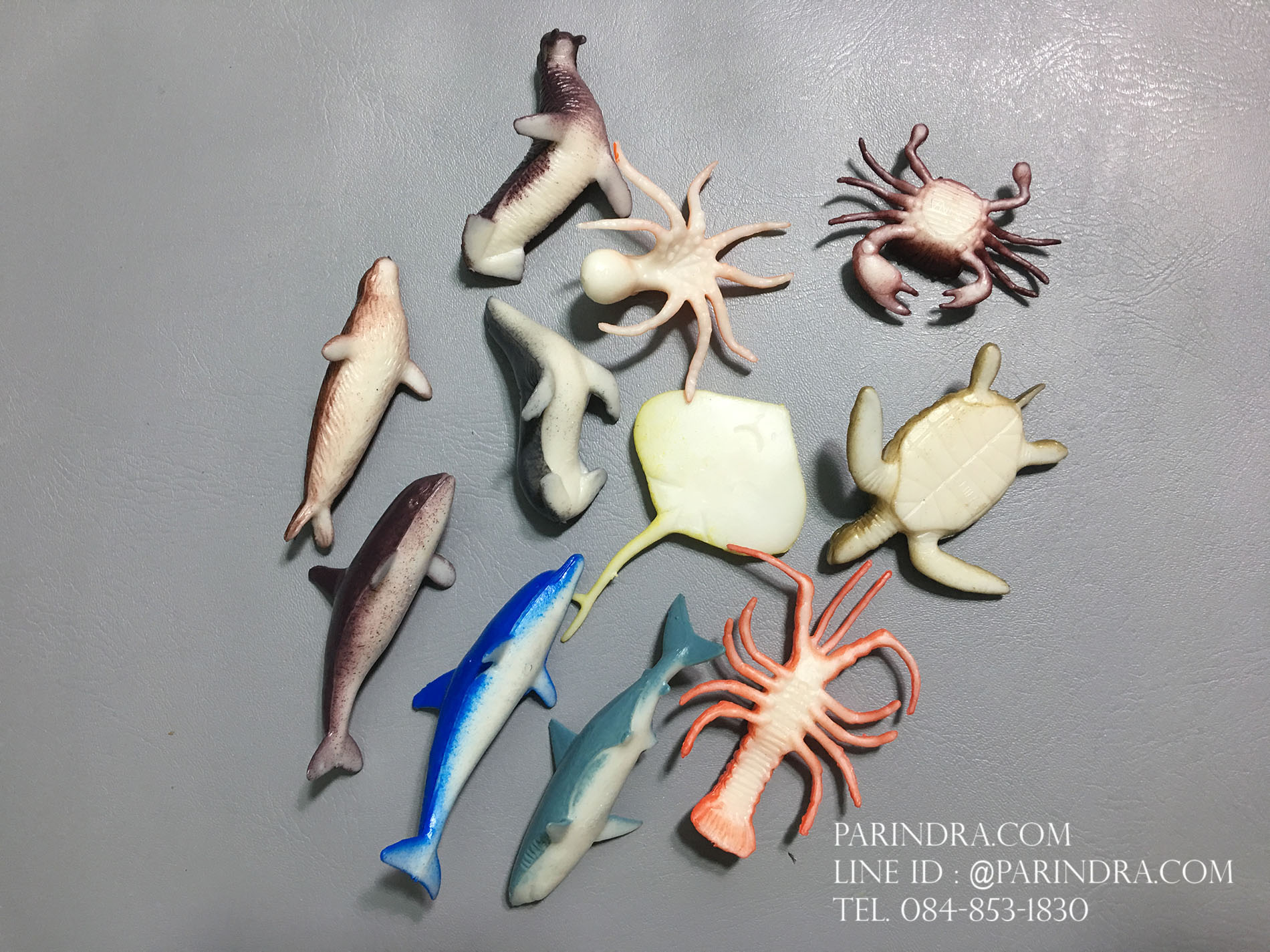 โมเดลสัตว์ทะเล MARINE Animal 11 ชนิด