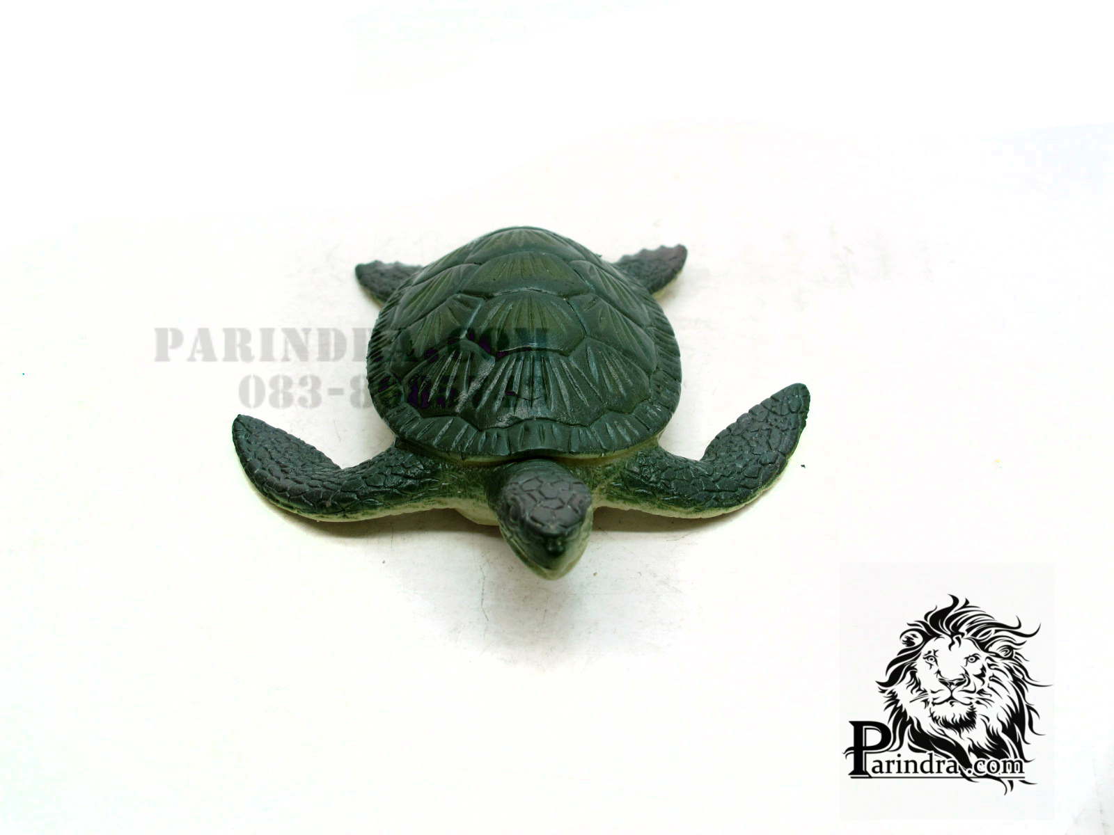 โมเดลเต่าทะเลสีเขียว