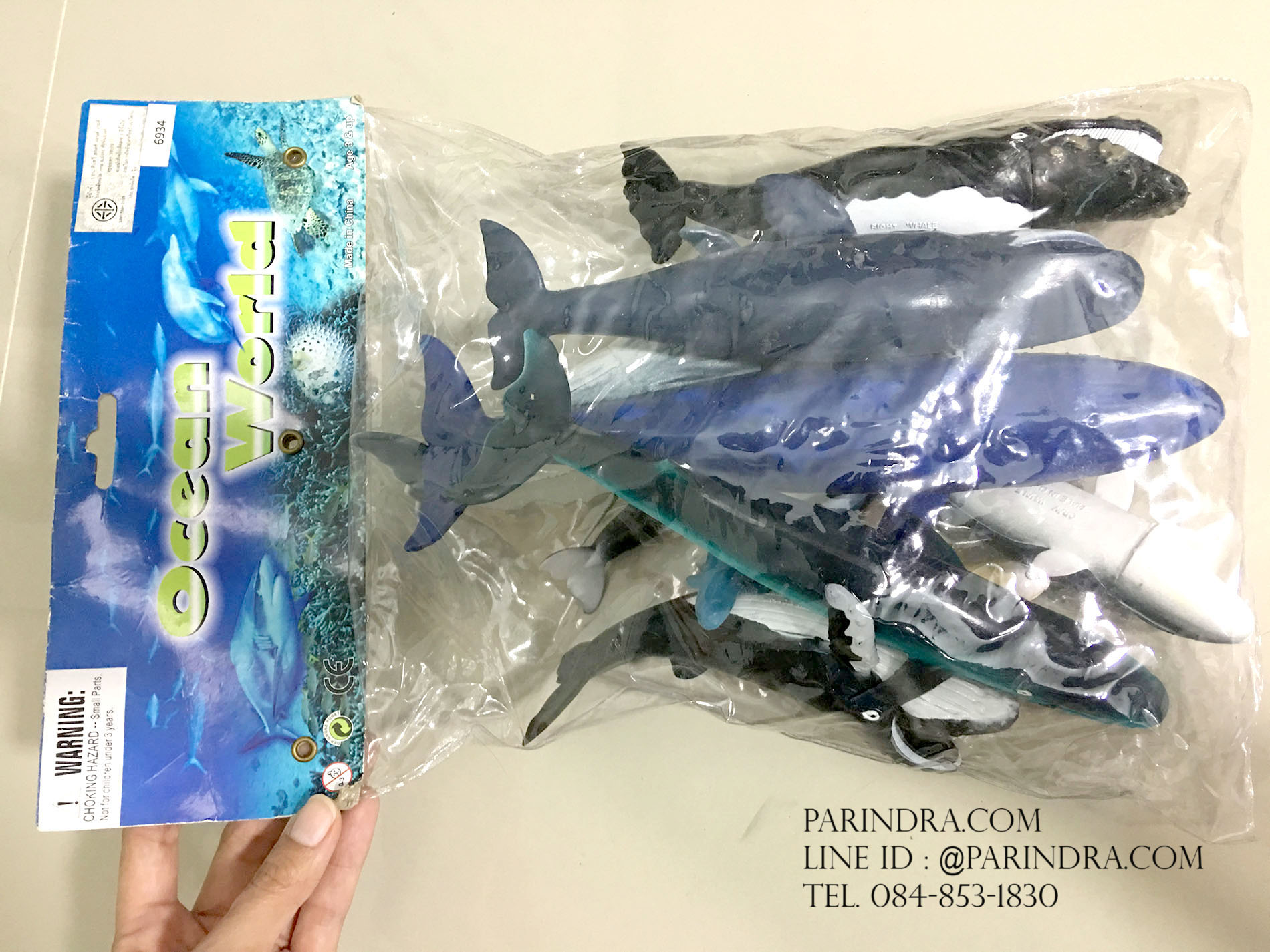 โมเดลสัตว์ทะเล ชุด Ocean World กลุ่ม วาฬ หลากหลายสายพันธุ์