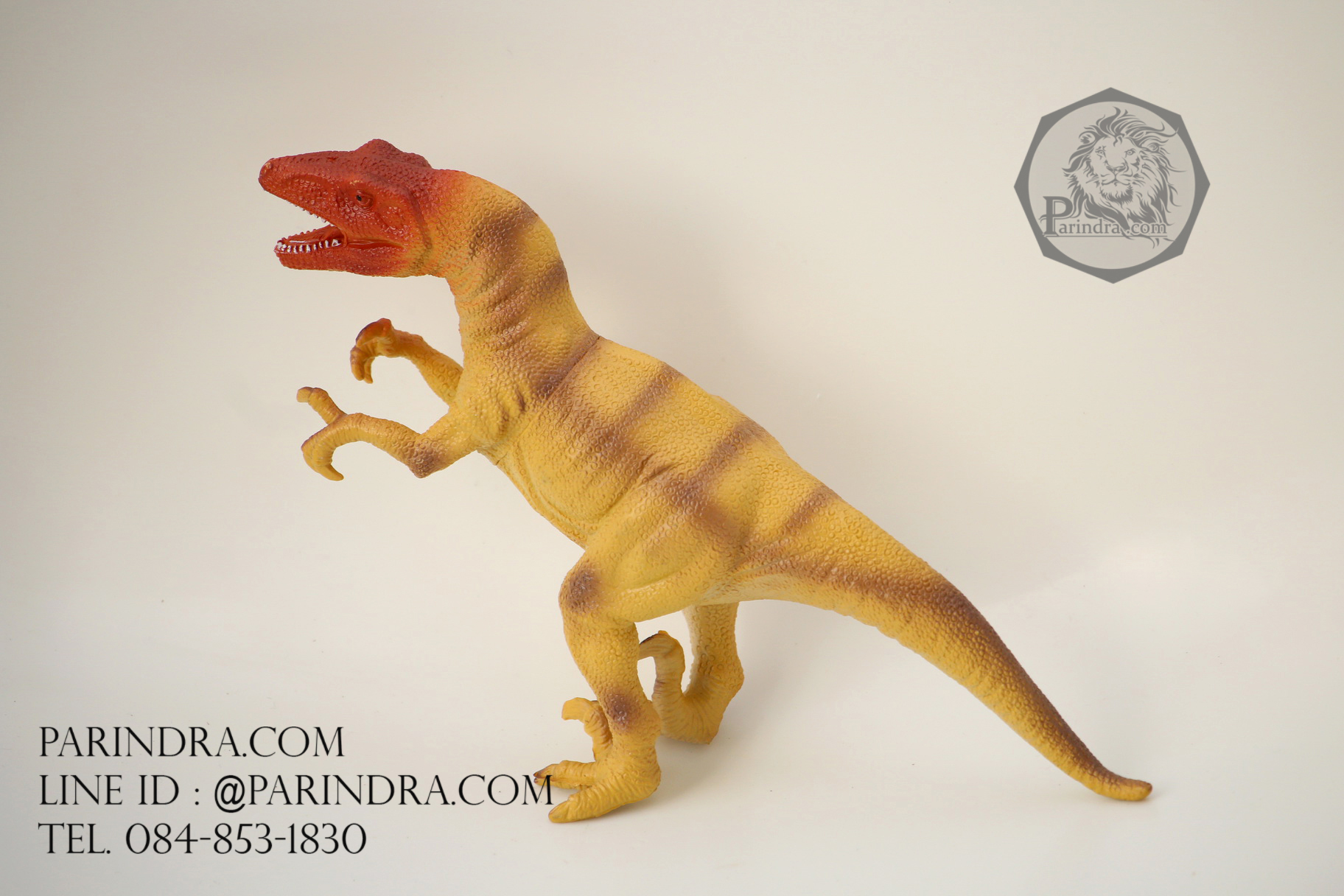 โมเดลไดโนเสาร์ Velociraptor (เวโลซีแรปเตอร์)