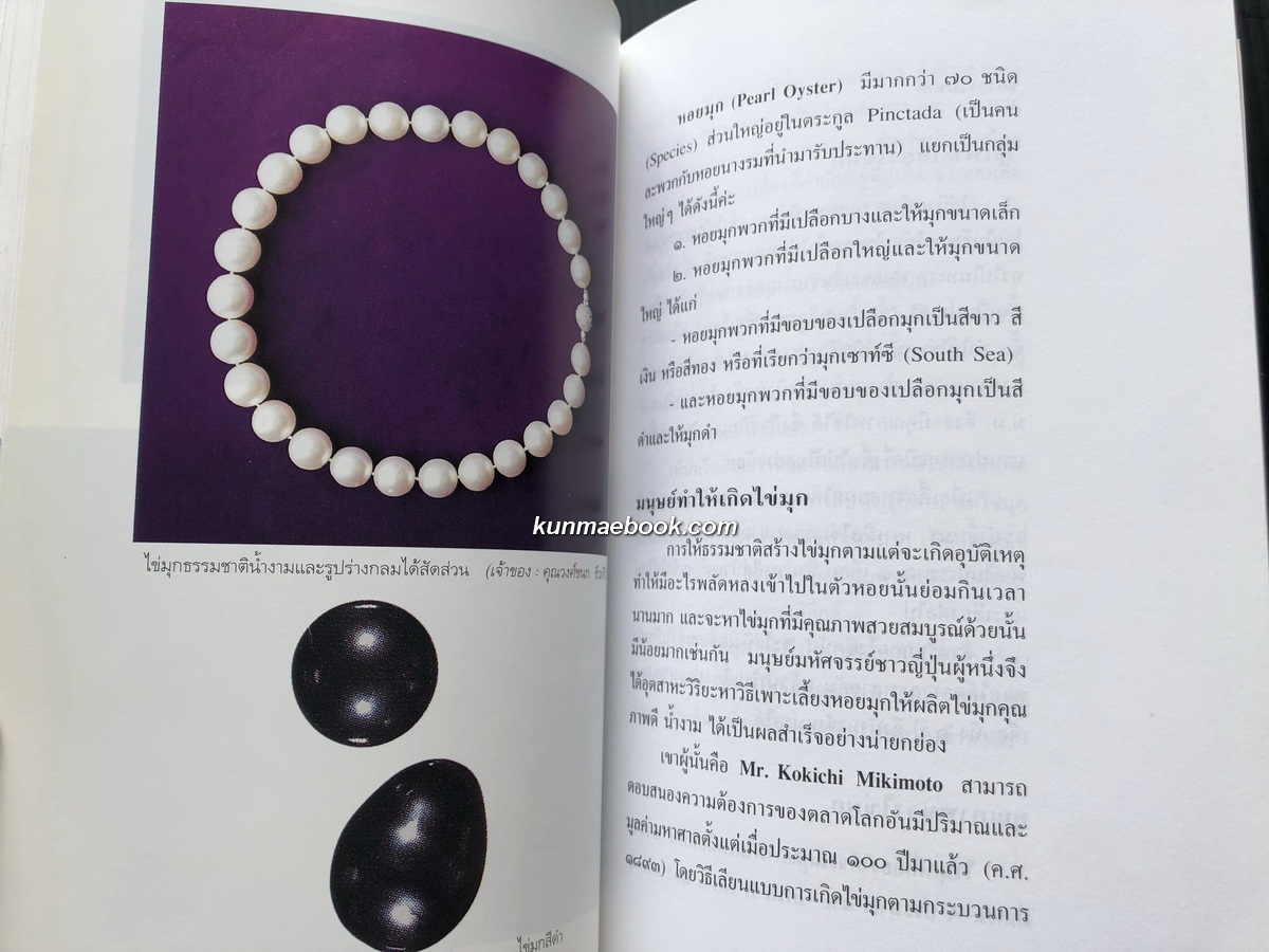 ศรีสรรพ์อัญมณี ผลงานของ มณิขจิต