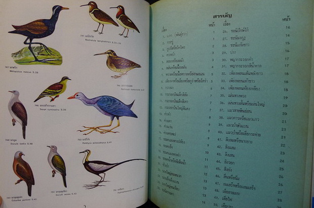 สัตว์ป่าสงวนและสัตว์ป่าคุ้มครอง *ตาม พ.ร.บ. พ.ศ.2503