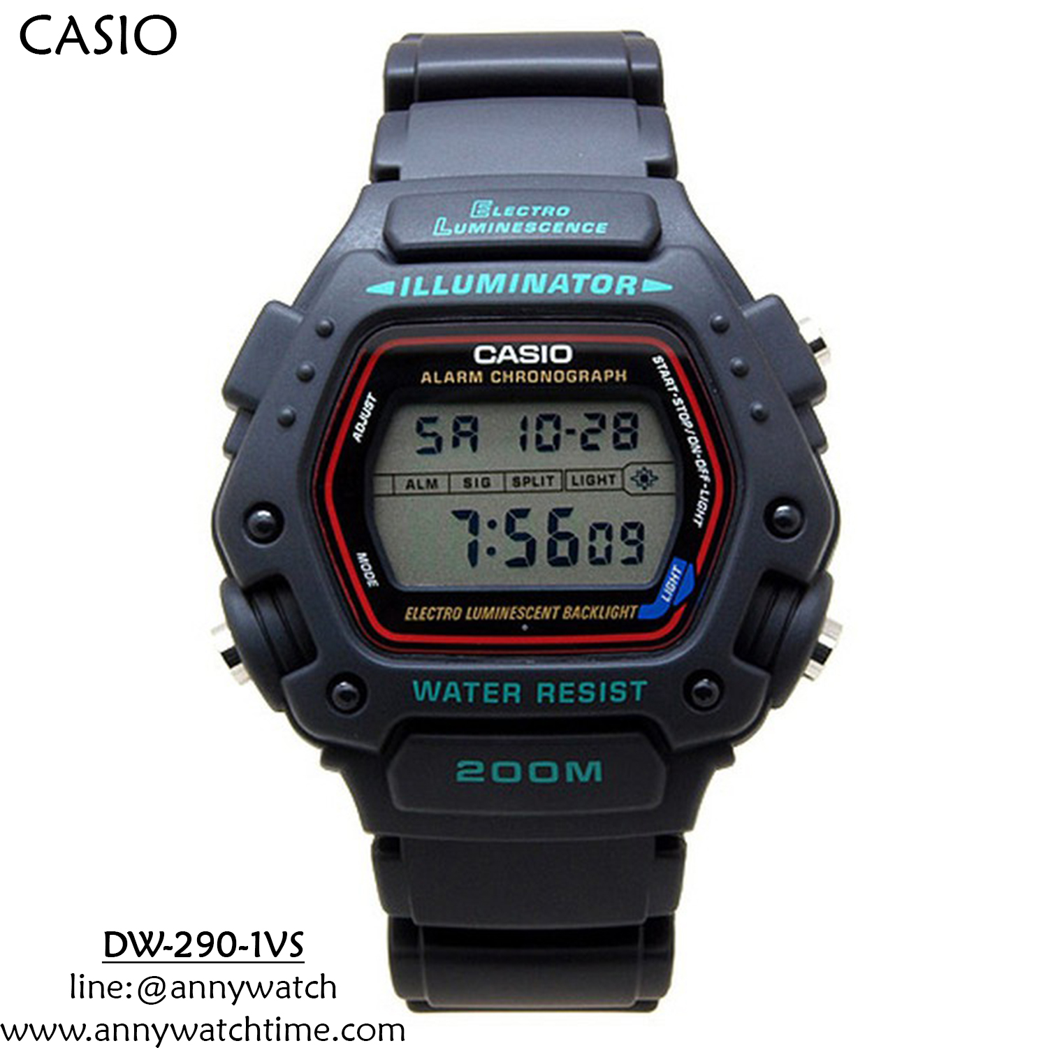 CASIO DW-290-1VS