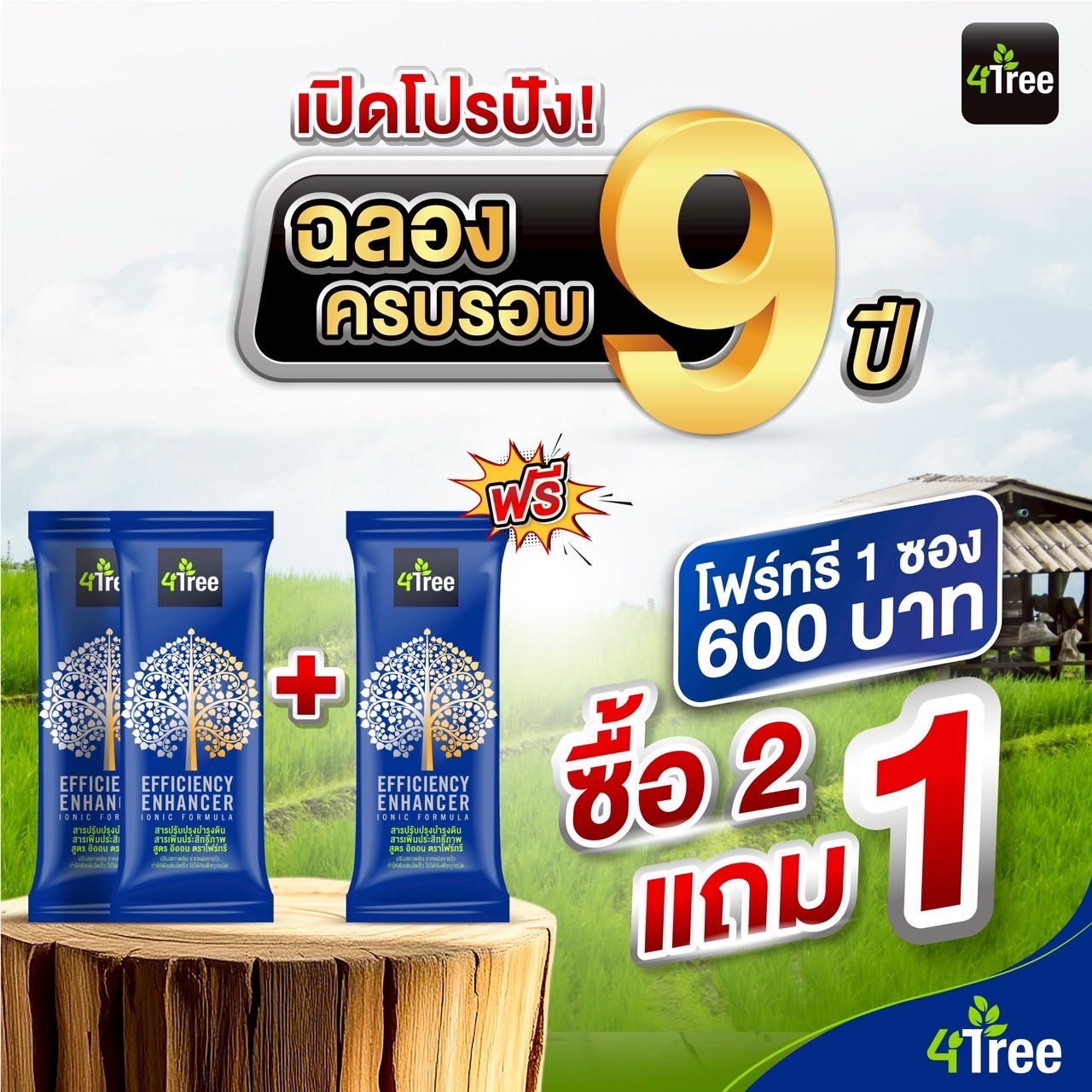 4Tree(โฟรทรี) ชุดขายดี 3 ซอง 1200บาท ปกติ 1800 ประหยัด 600 บาท