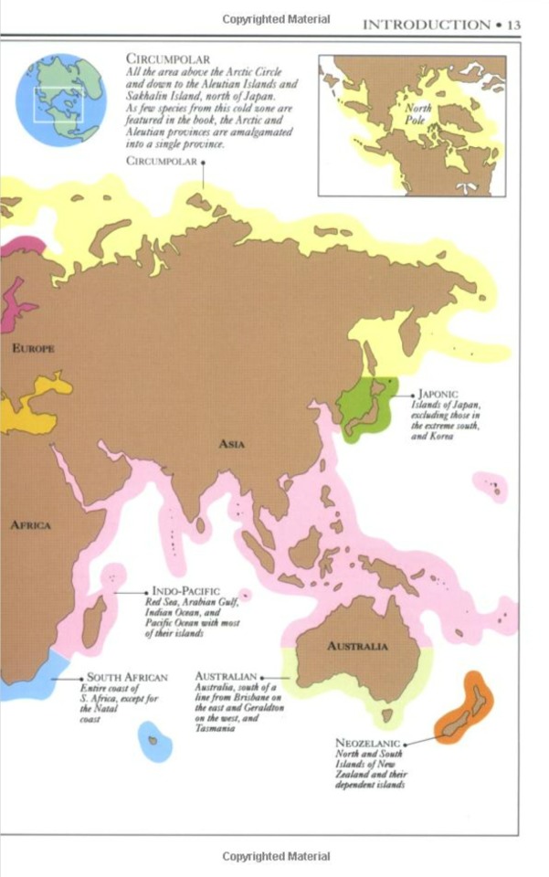 หนังสือคู่มือการสะสมเปลือกหอยของ Smithsonian Handbooks: Shells (หนังสือใหม่ มือ 1)