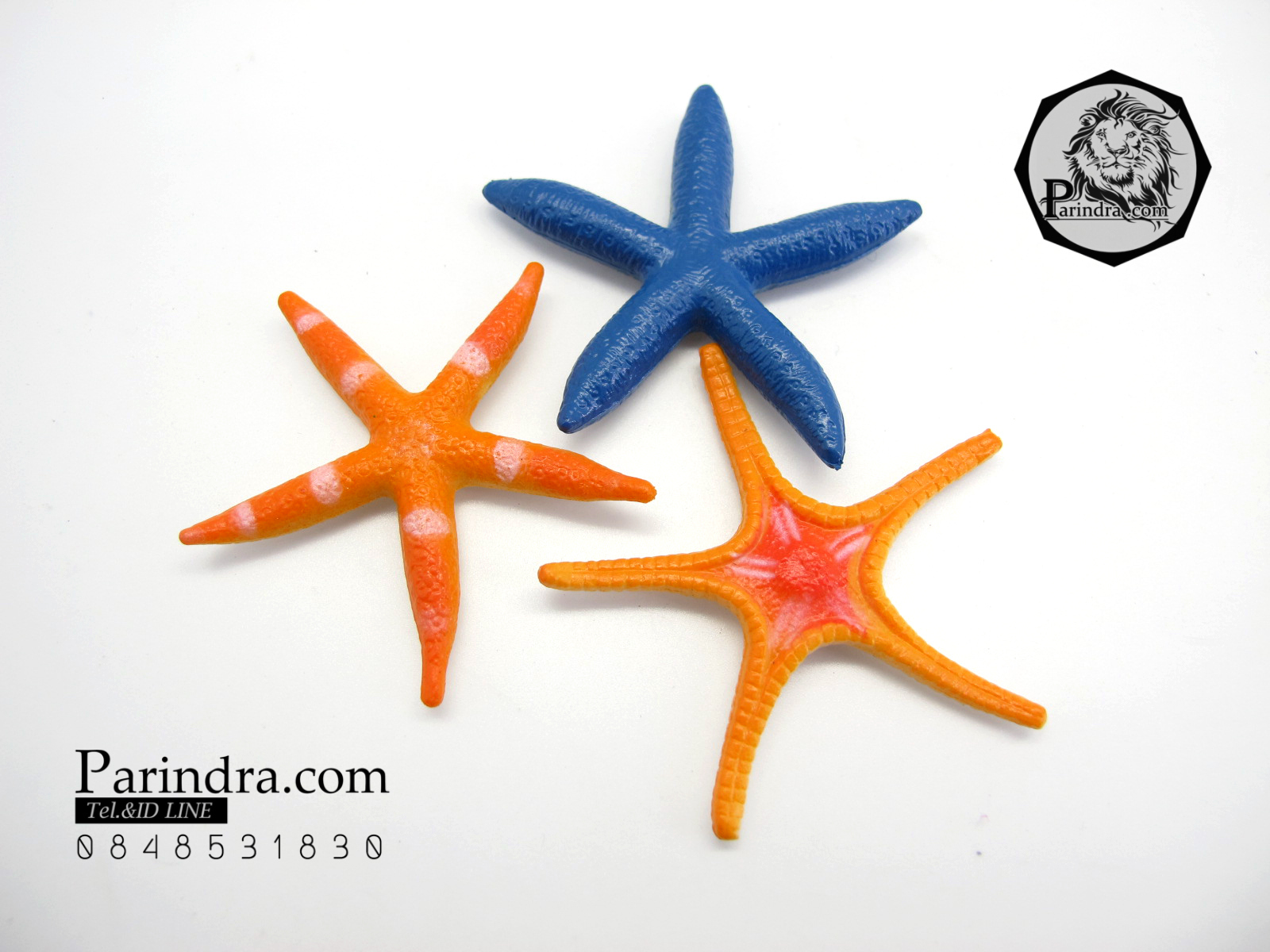 โมเดลดาวทะเลชุด Educational Toys Sea Star Fish