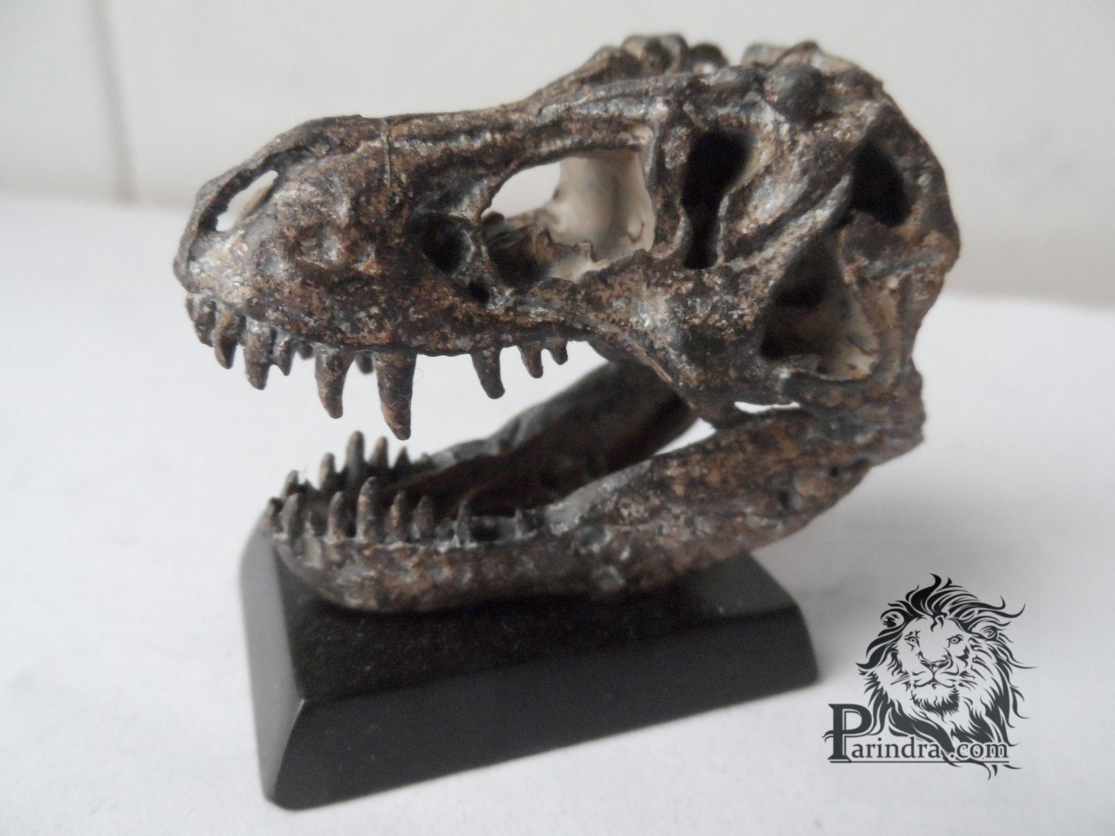โมเดลฟอสซิล T-Rex ขนาดเล็กจำลองเหมือนมาก