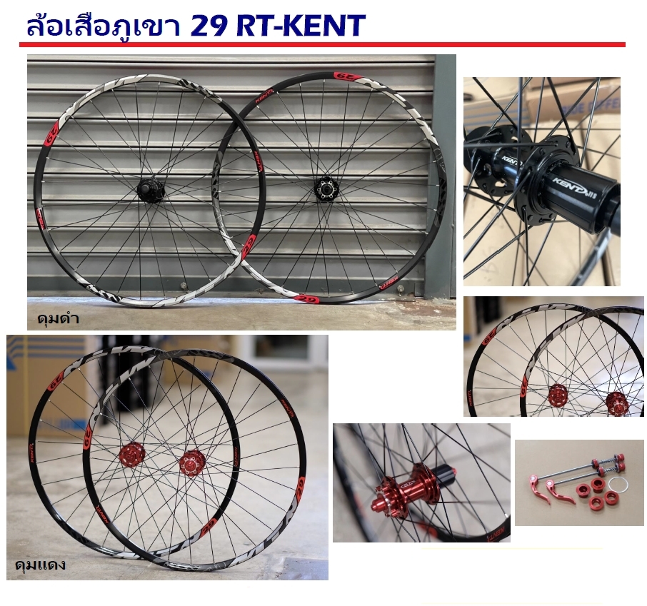 ชุดล้อเสือภูเขา RoTon RT KENT 29ER ดุมลูกปืนแบร์ริ่ง 7-11 สปีด