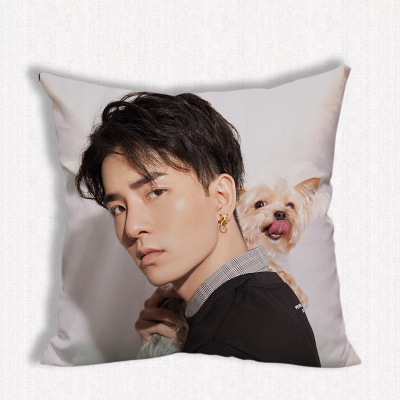 หมอน Caesar Wu (อู๋ซีเจ๋อ)