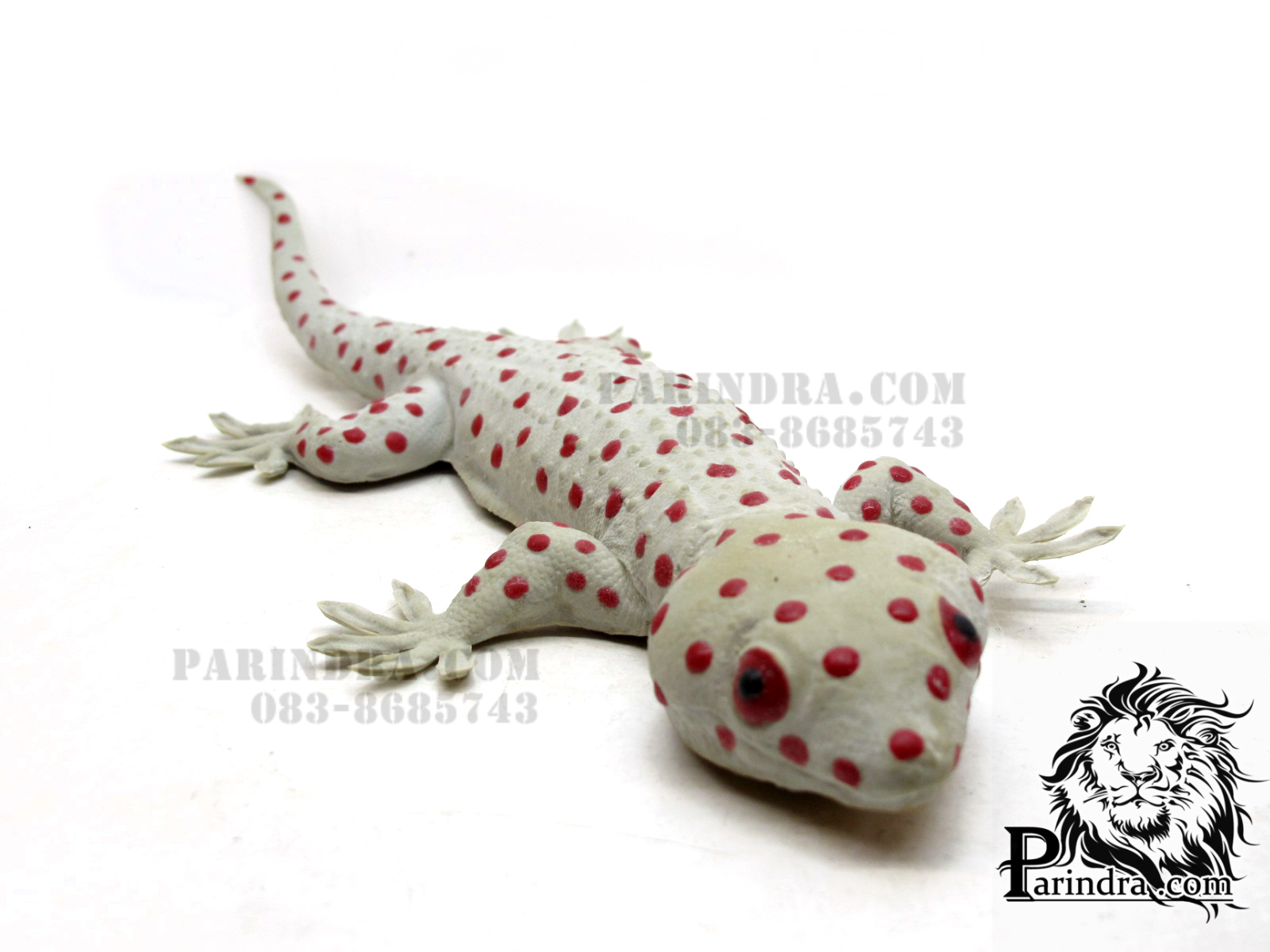 ตุ๊กแกปลอมตัวใหญ่ เหมือนจริงมาก ออกสีเผือก