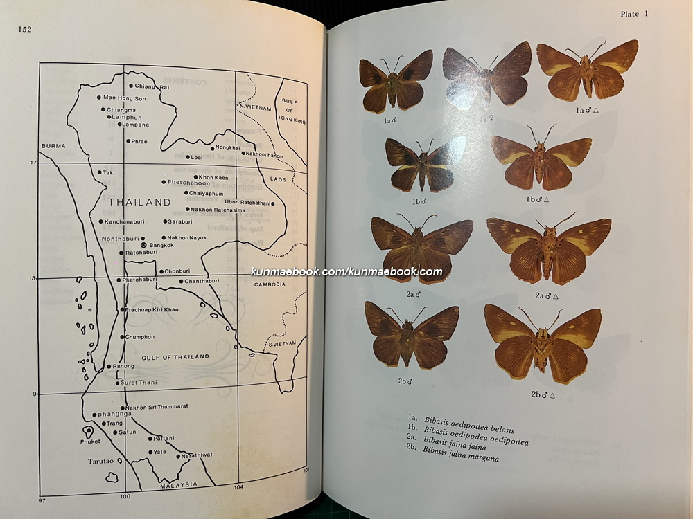 Butterflies in Thailand Volume 5 By Bro.Amnuay Pinratana