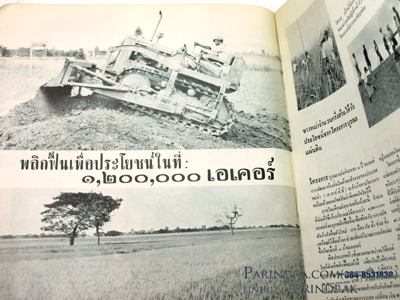 นิตยสาร "เสรีภาพ" ฉบับที่ 59