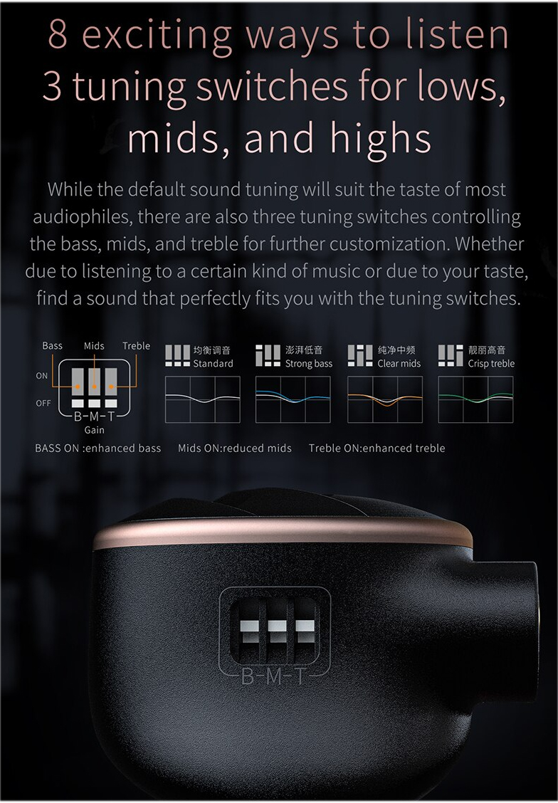 ขาย FiiO FH5S หูฟัง 4 ไดรเวอร์ 2DD+2BA ประกันศูนย์ไทย