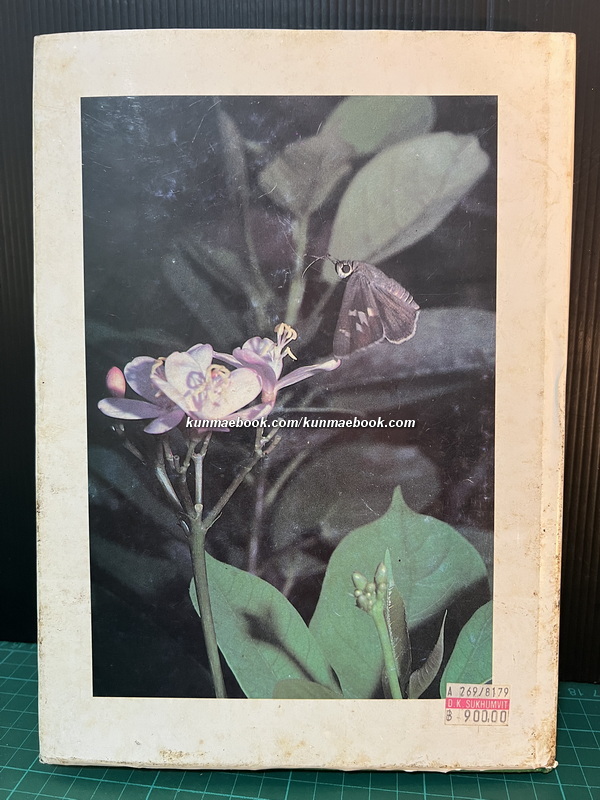 Butterflies in Thailand Volume 5 By Bro.Amnuay Pinratana