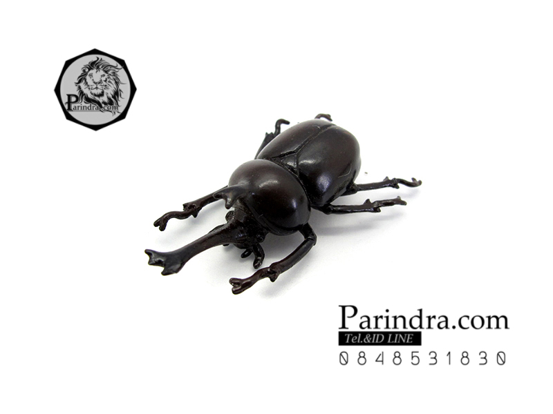 โมเดลด้วง