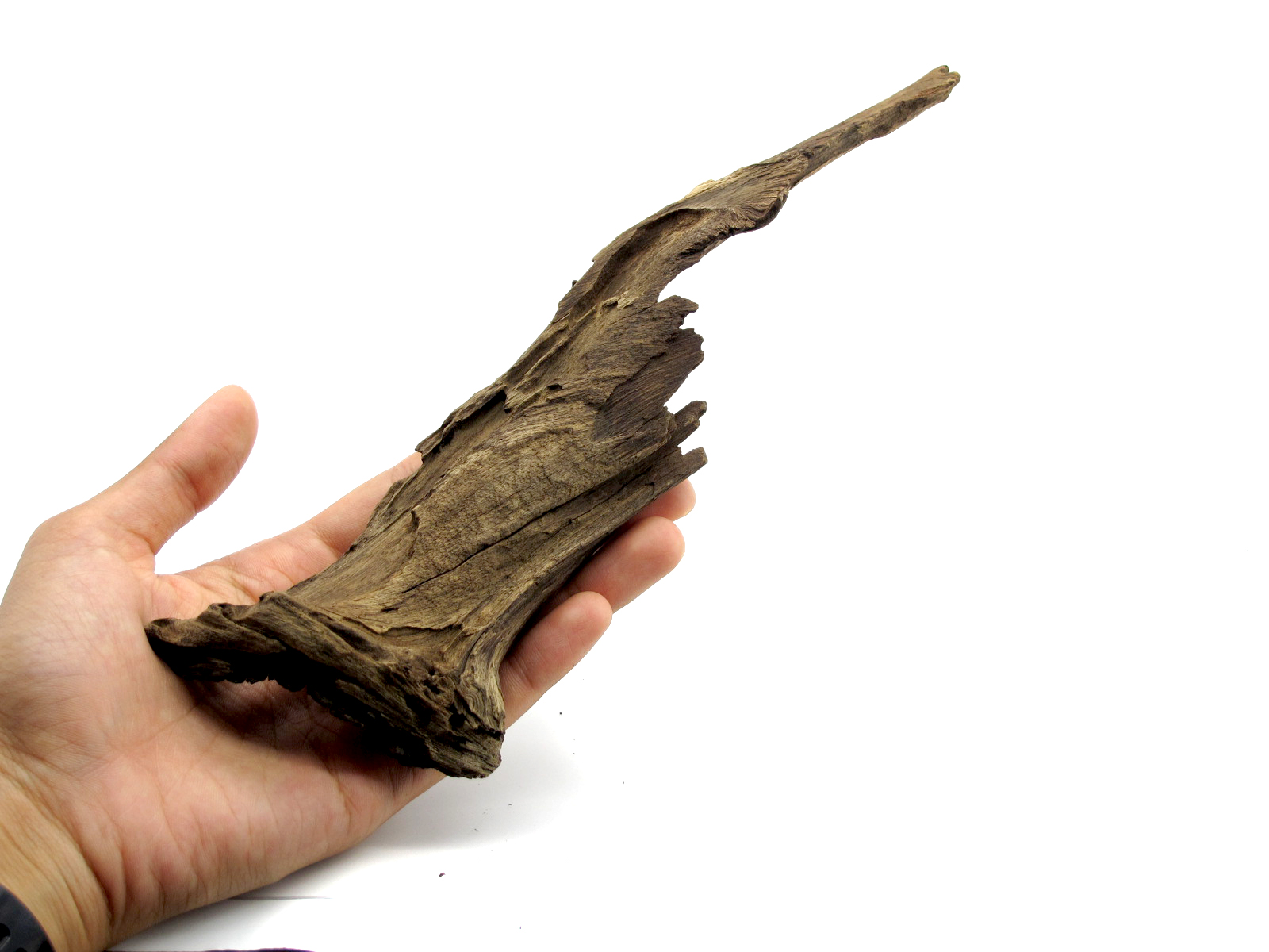 ขอนไม้ตกแต่งตู้ปลาหรือใช้เลี้ยงสัตว์เลื้อยคลาน 063