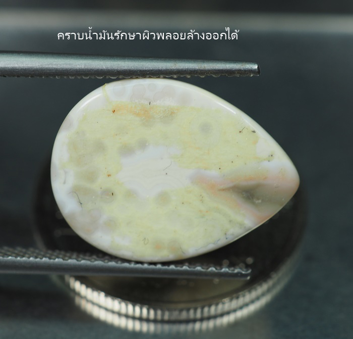 เจสเปอร์ (Ocean Jasper) 7.01 กะรัต