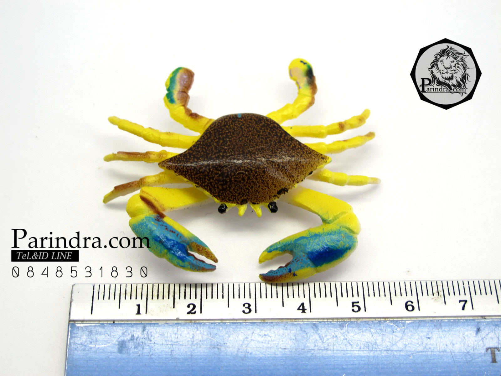 โมเดลชุดปูทะเล Educational Toys SEA CRAB มีหลายสีหลายชนิด ครบชุด 6 ตัว