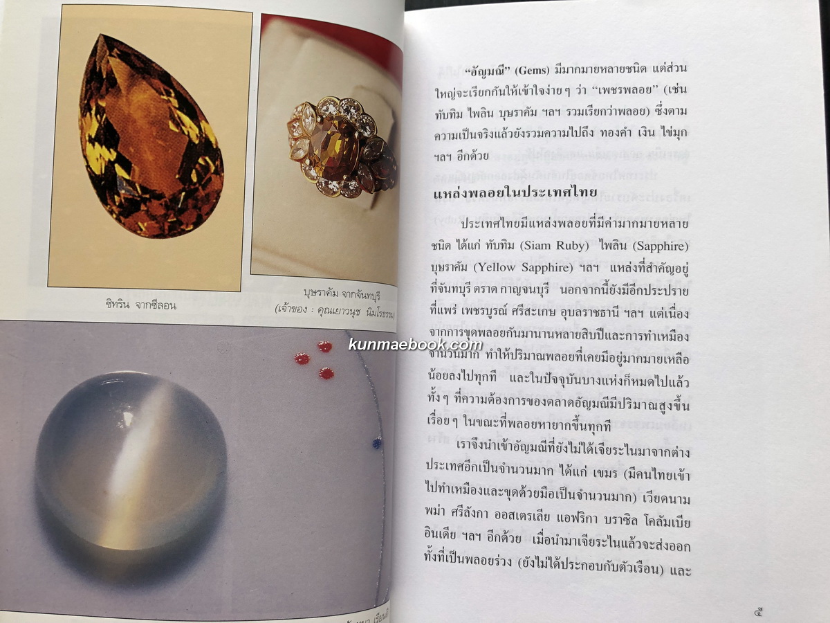 ศรีสรรพ์อัญมณี ผลงานของ มณิขจิต