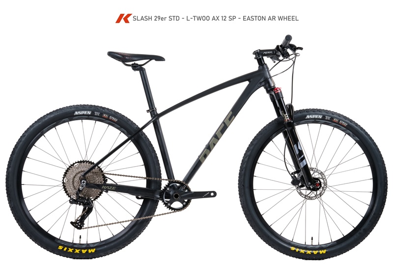 จักรยานเสือภูเขา KAZE RACE SLASH 29er STD (standard version) L-TWOO AX 12 speed NEW2025