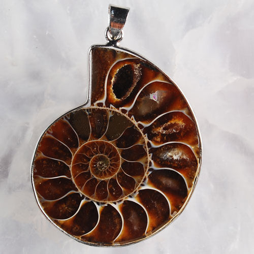 จี้สร้อยคอฟอสซิลหอยแอมโมไนท์ สีน้ำตาลไหม้ หายาก สมบูรณ์มาก แร่เต็ม สำหรับห้อยคอ หรือพวงกุญแจ คัดสวยพิเศษ ACC4