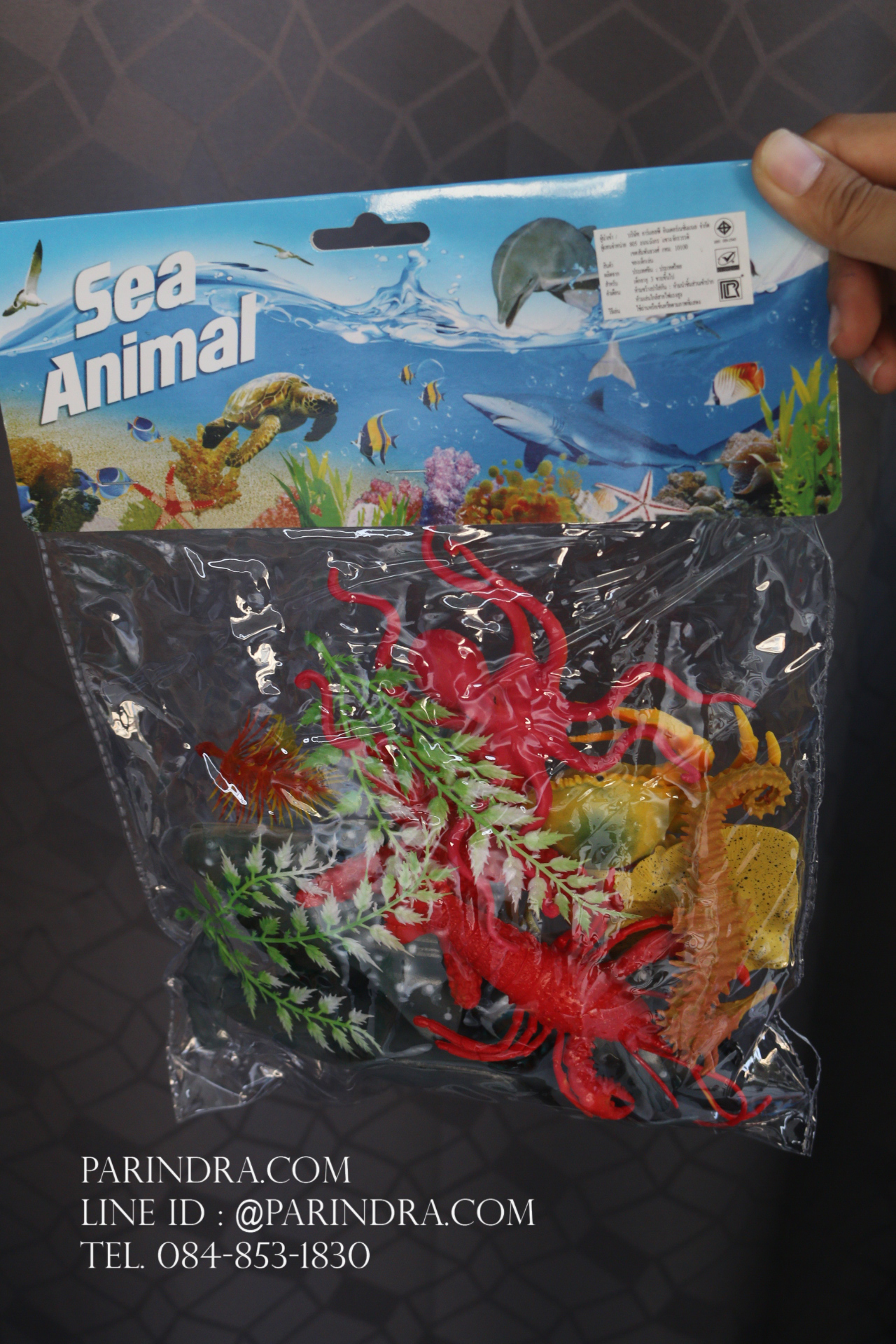 โมเดลสัตว์ทะเล Sea Animal 9 ชนิด