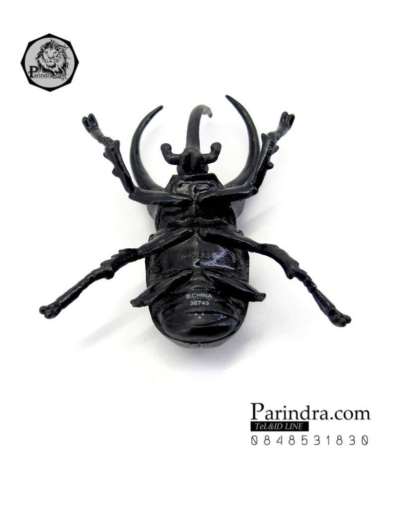 โมเดลด้วง ชำรุด