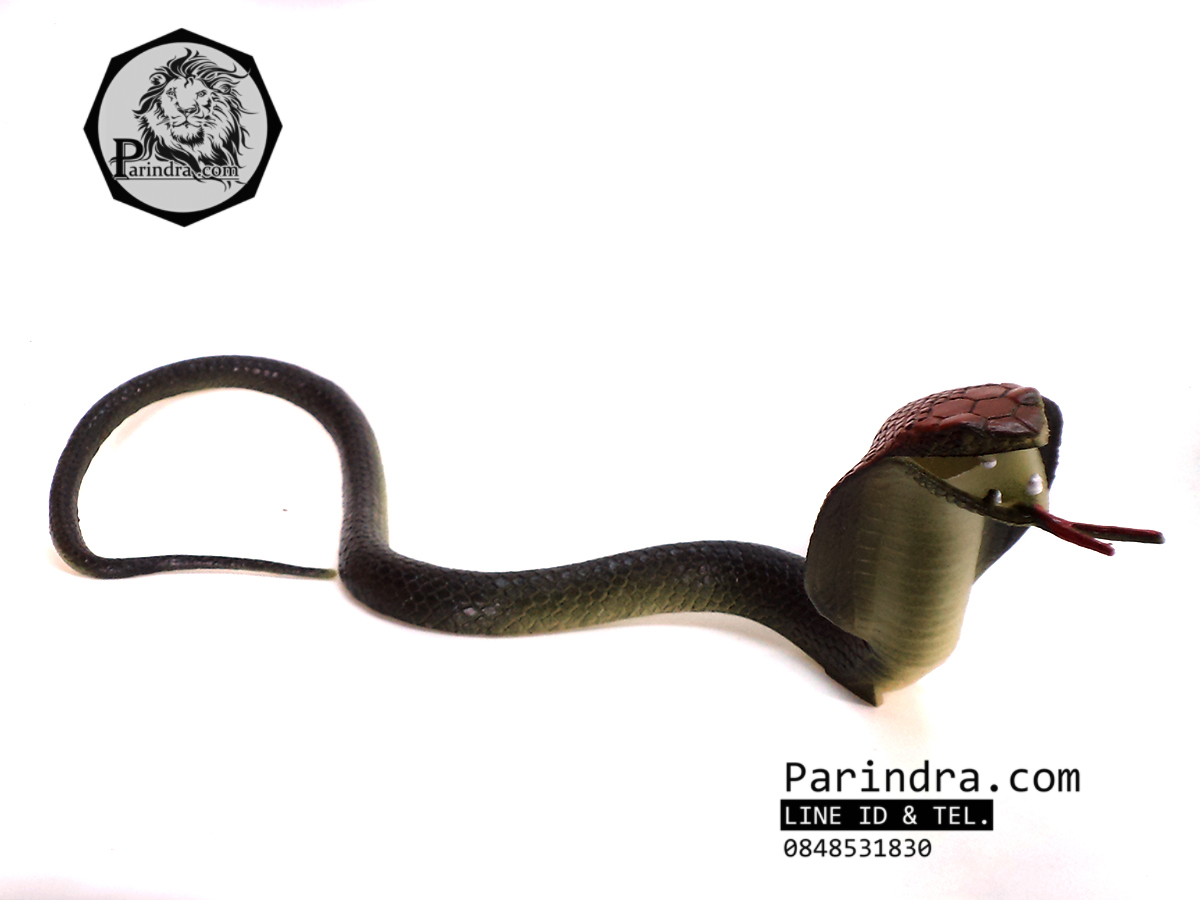 โมเดลงูเห่า เหมือนจริงมาก ทำจากยางยืดหยุ่น สวยๆครับ