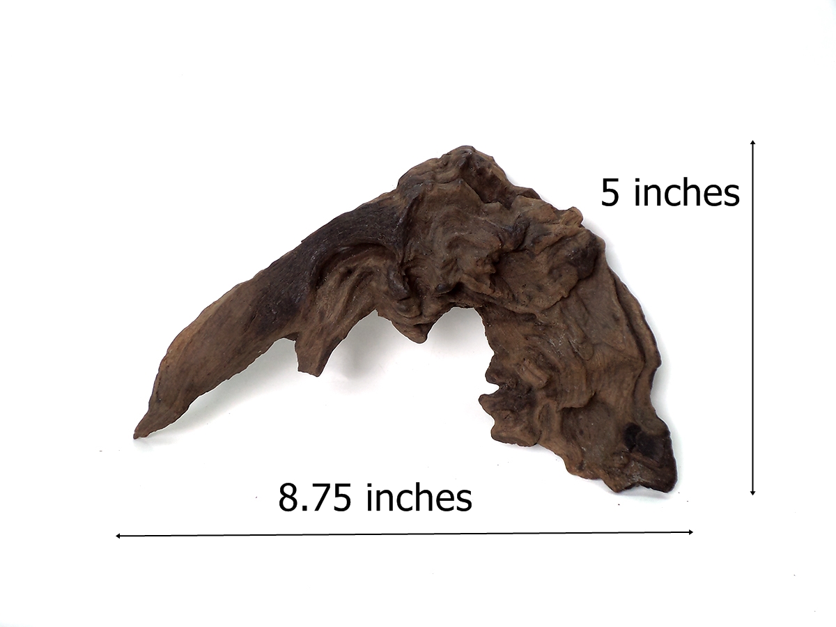 ขอนไม้ตกแต่งตู้ปลาหรือใช้เลี้ยงสัตว์เลื้อยคลาน 026