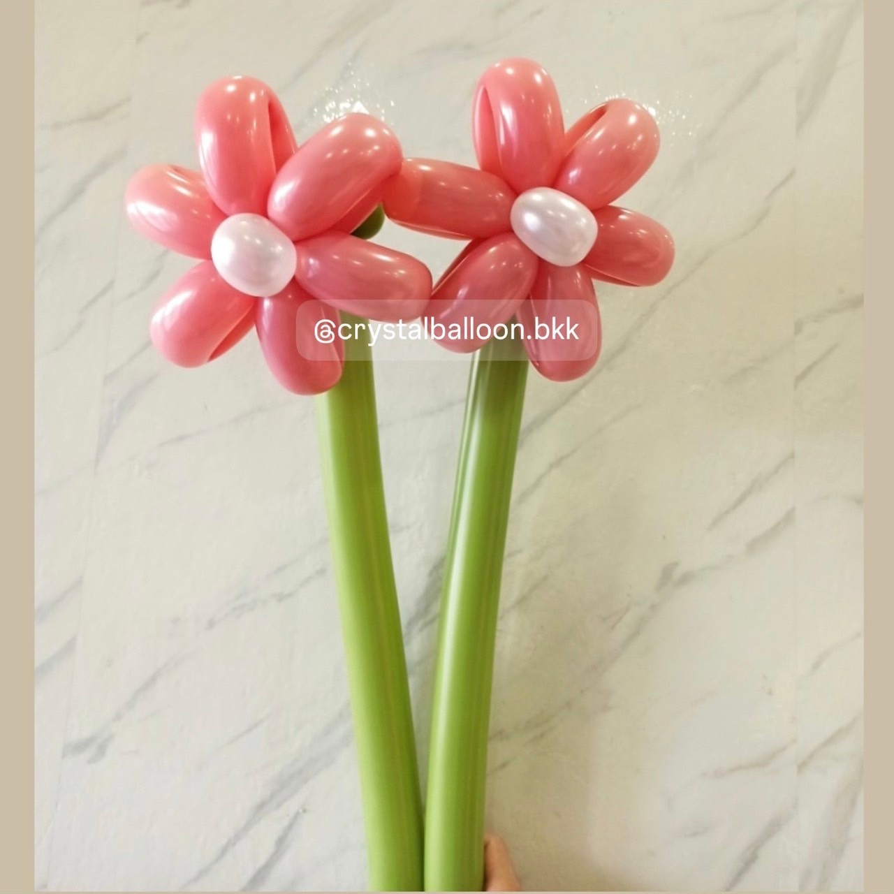 Flower Balloon Small Bouquet ช่อดอกเดซี่ 2 ดอก สีโรสโกลด์ พร้อมตกแต่ง สามารถเปลี่ยนสีลูกโป่งได้