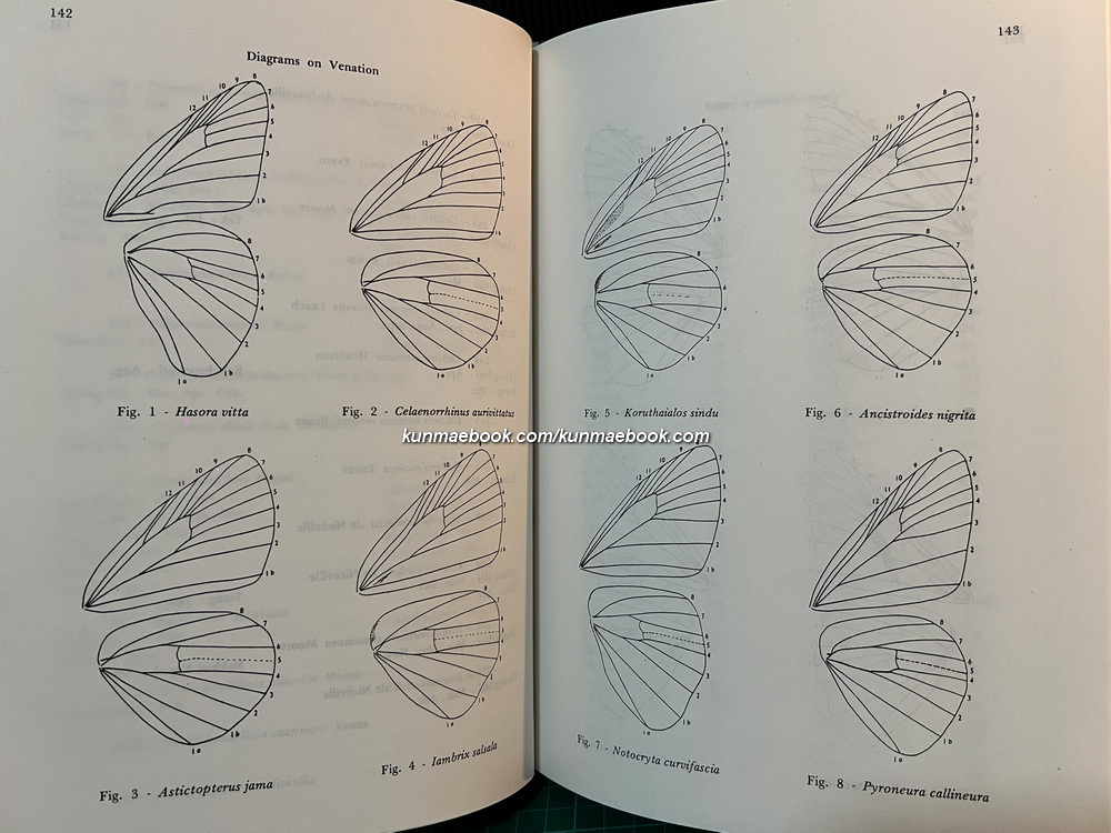 Butterflies in Thailand Volume 5 By Bro.Amnuay Pinratana