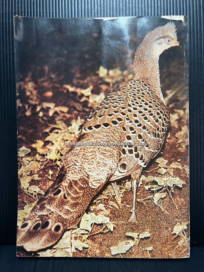 วารสารสมาคมอนุรักษ์ไก่ฟ้าแห่งชาติ ฉบับที่ 3 ปี 2533