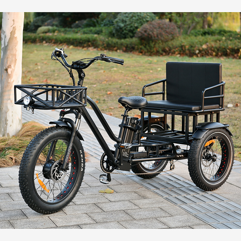 จักรยานไฟฟ้าสามล้อ OTMAR OTM-T14 750W | แบต Samsung 48V | วิ่งไกล 120 กม. | รับน้ำหนัก 185 กก.