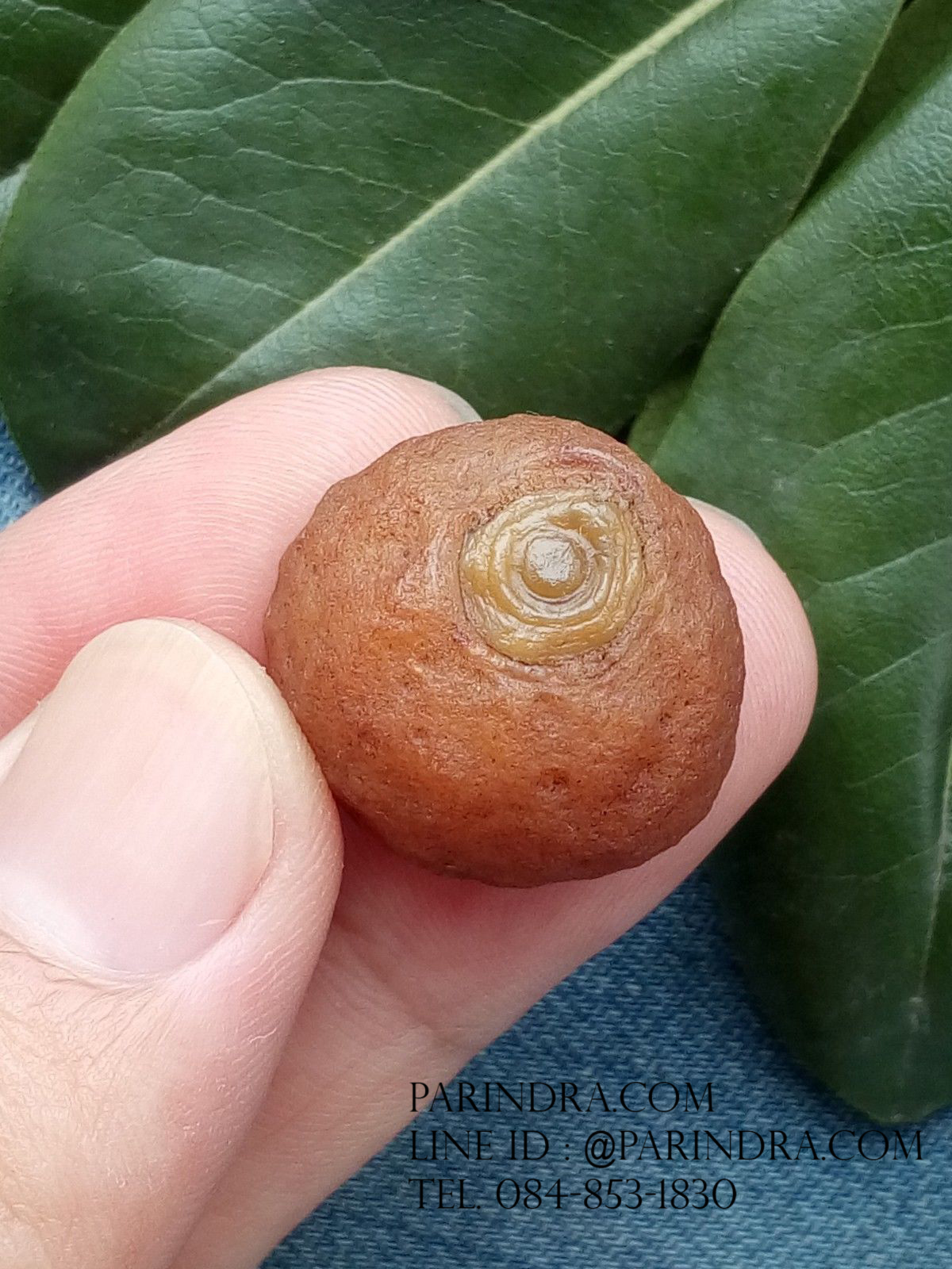 หินรูปทรงประหลาดจากทะเลทรายโกบี GOBI Eye Stone #GOBI006