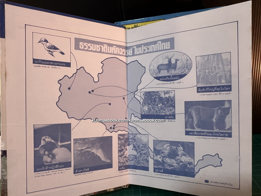 รู้รอบตัวแสนสนุก รวม 9 เล่ม