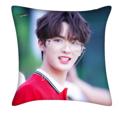 หมอน จูเจิ้งถิง (Zhu Zhengting)