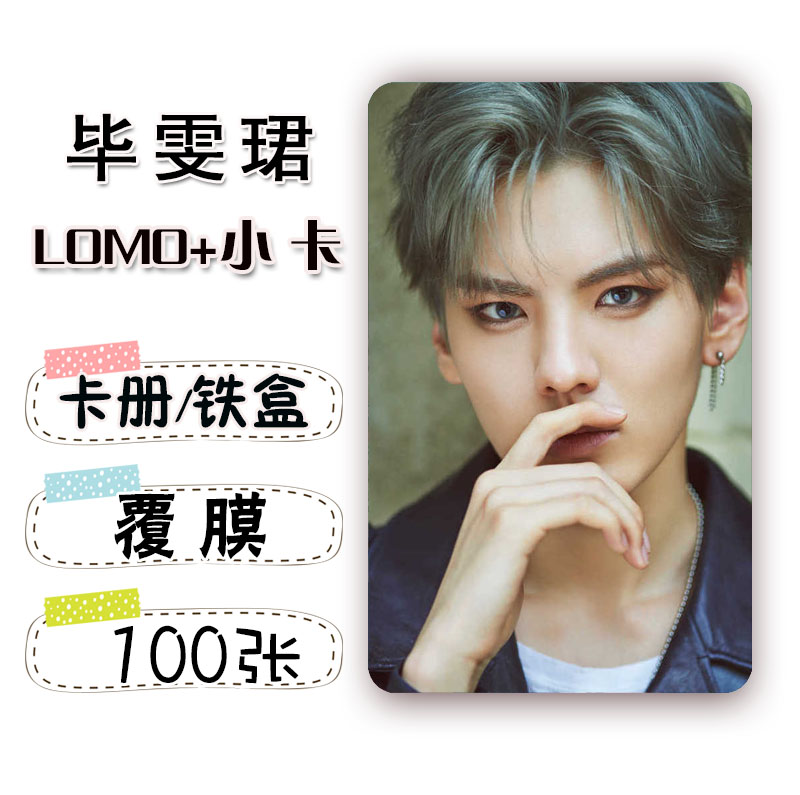 LOMO / การ์ด 100 ใบ+กล่องเหล็ก ปี้เหวินจวิ้น (Bi WenJin)