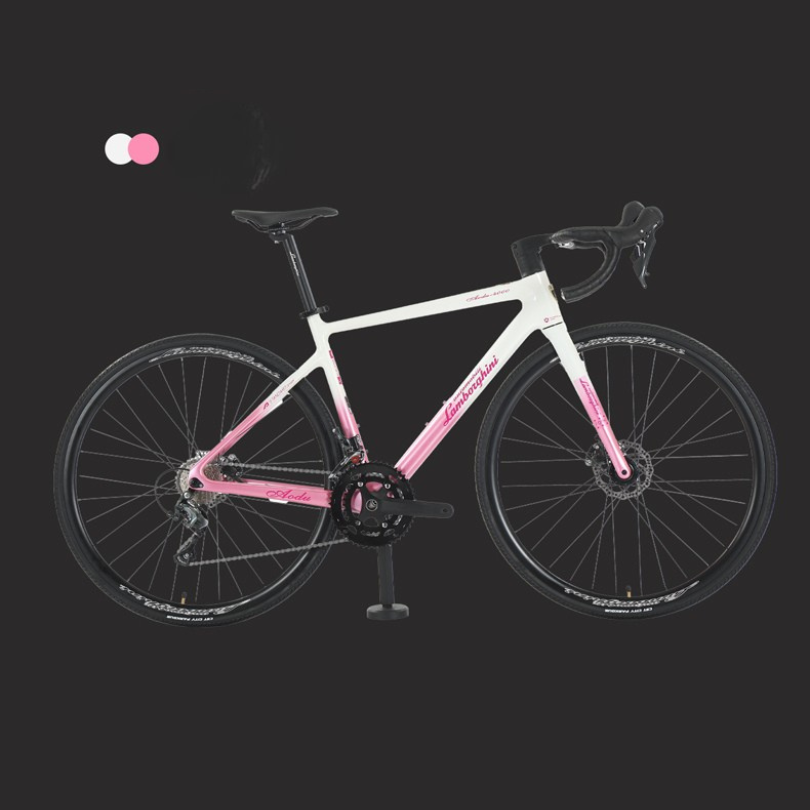 Lamborghini Aodu-4000 คาร์บอน 2025 | เกียร์ไฟฟ้า Wheeltop 6700 | 24 สปีด