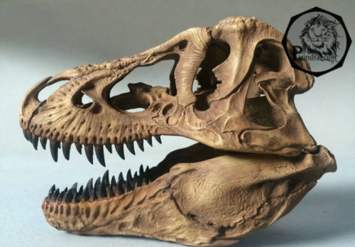 โมเดลจำลองฟอสซิลกระโหลก T-Rex (Tyrannosaurus Rex) ขนาด 1/12 เหมือนจริงมากมาก