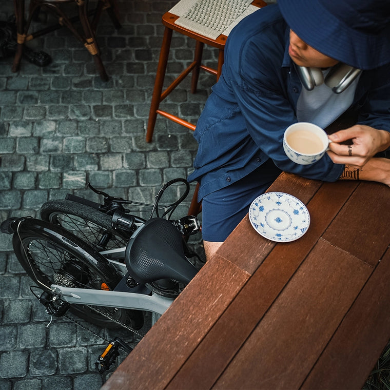 Fiido D11 Folding E-bike 2025 – 250W Electric Bike | 417.6Wh Battery | Hydraulic Disc Brakes | 7-Speed Shimano