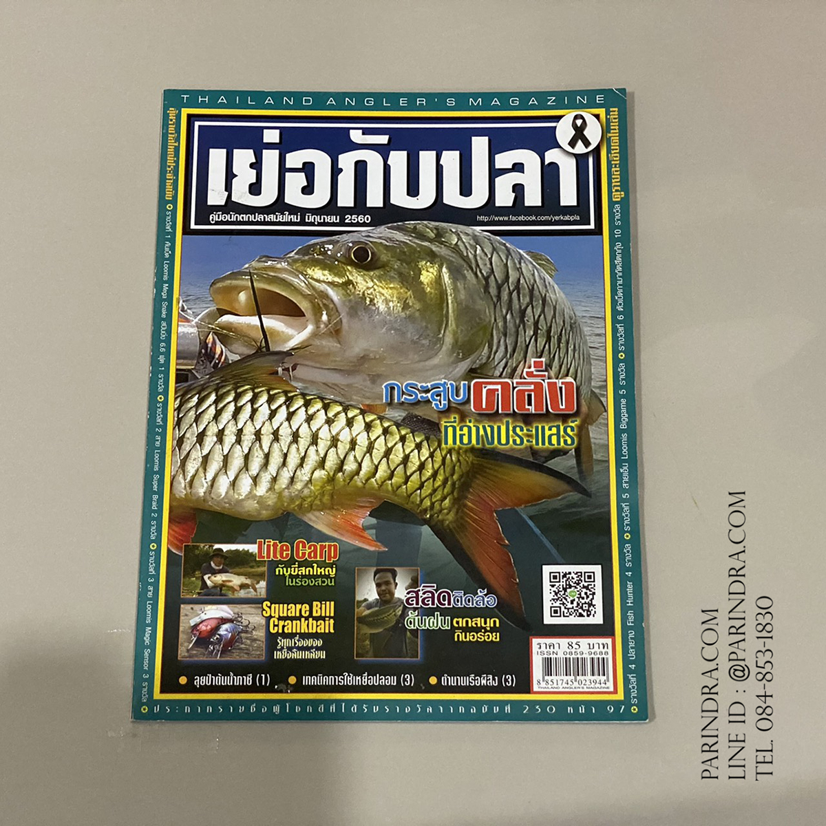 นิตยสาร เย่อกับปลา หน้าปก กระสูบคลั่งที่อ่าวประแสร์ ฉบับที่ 230 เดือนมิถุนายน ปี 2560